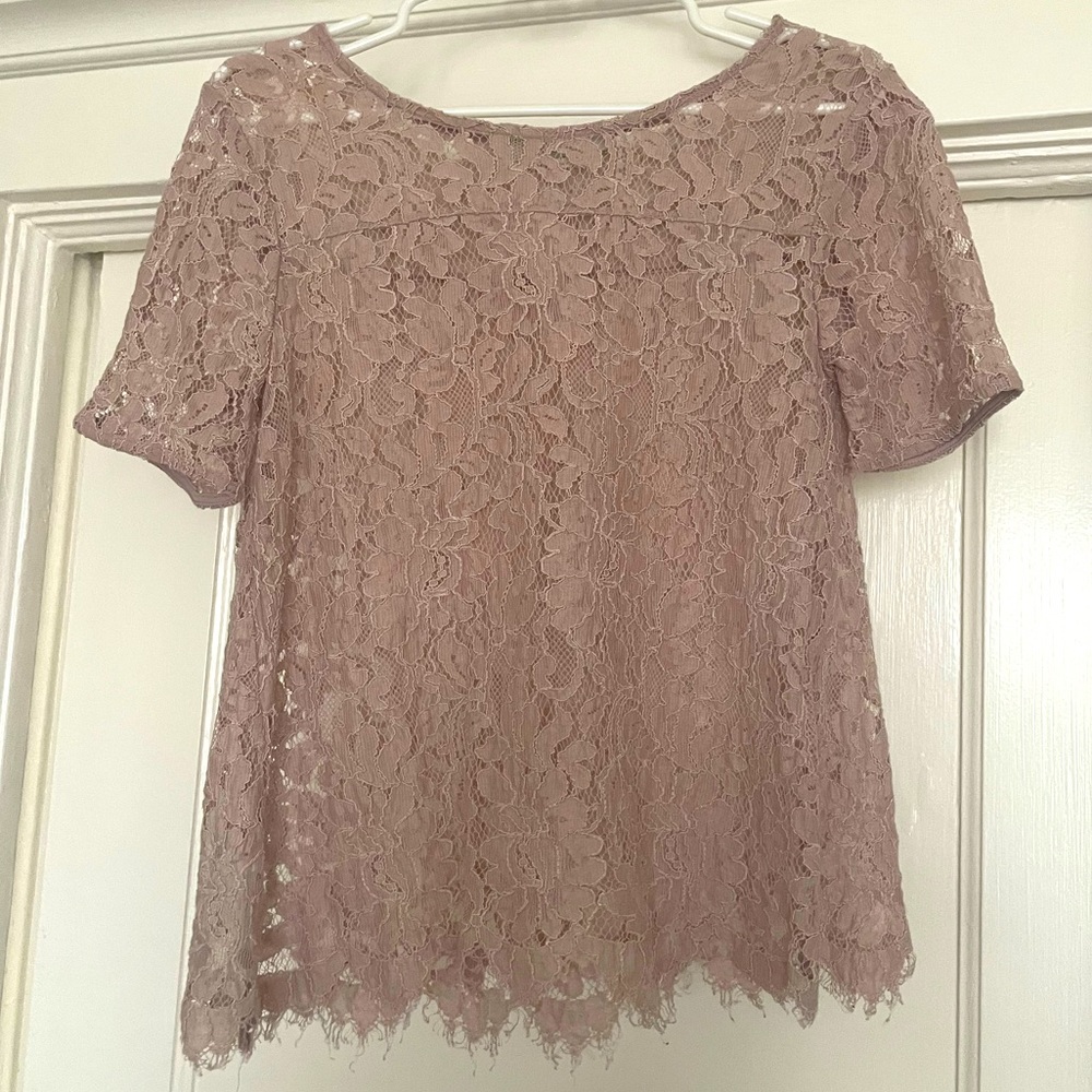 Ann Taylor Loft Lace Short Sleeve Top